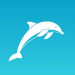 Surf - Free VPN for Tiktok, Cutout & Keyboard