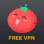 Free VPN Tomato|Proxy VPN de hotspot grátis rápido