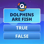 Fun Trivia Game. Questions & Answers. QuizzLand