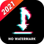 Video Downloader for TikTok No Watermark - TikDown