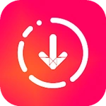 Story Saver for Instagram - Story Downloader