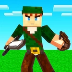 Robin Hood Skins