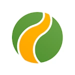 游戏图标