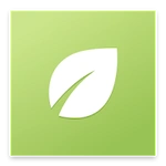 The Essential Life - Guía del aceite