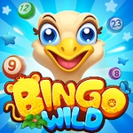 Bingo Wild-Free BINGO Games Online: Fun Bingo Game