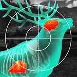 Wild Hunt： 打獵遊戲-立體打獵與射擊