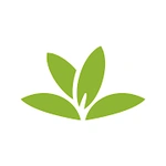 游戏图标