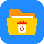 Fast Data Recovery: Recover deleted files