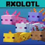 Axolotls Mod [HD] - For Minecraft PE
