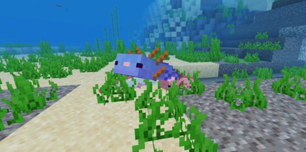 Download and play Axolotls Mod [HD] - For Minecraft PE on PC with MuMu ...