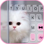 Pink Fluffy Kitten Keyboard Background