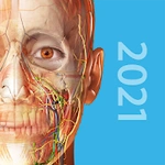 Human Anatomy Atlas 2021: Complete 3D Human Body