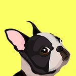 EveryDoggy: entrenamiento para tu perro