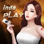 IndoPlay All-in-One