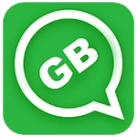 GB Wasahp Pro