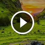 Video Live Wallpaper : HD VideoWall