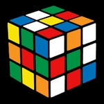 Twins Puzzle