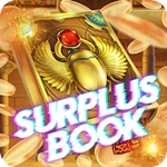Surplus book