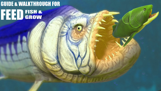 Download Guide for Feed And Grow : Fish android on PC