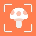 Mushroom ID - Mushroom identifier free