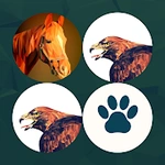 Picture Match. Relaxing Mind Game. Memory Training
