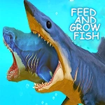 Advices For : Feed And Grow Fish