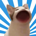 POPCAT