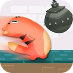 Cat Run