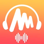 Musi Player Free: Simple Music Stream App Tips