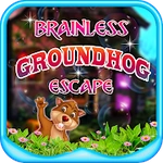 Brainless Groundhog Escape - JRK Games
