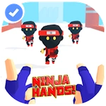 Ninja Hands Advice