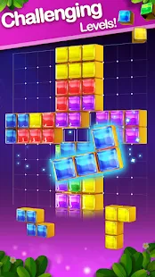 Baixar e jogar Block Gems: Classic Free Block Puzzle Games no PC com MuMu  Player