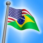 Make A Flag