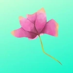 Ten Quiz