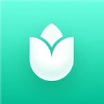 PlantIn: Plant Identification