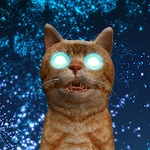 Cats and Lasers