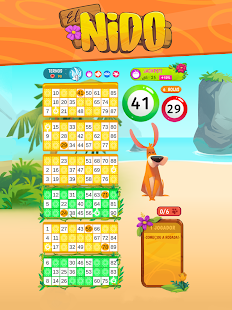 Praia Bingo