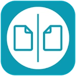 Remo Duplicate File Remover