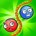 Lasso Puzzle