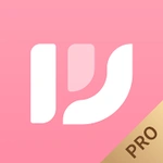 WalkNovel Pro