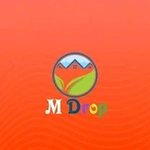 M Drop Scratch Reward