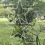 Tree tree