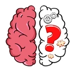 Brain Puzzle - Tricky Test
