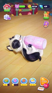 Baixe My Cat - Jogo de Gato  Meu Gatinho Tamagotchi no PC com MEmu