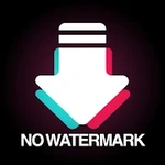 TTDownloader-Sin marca de agua