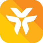 MyVIB