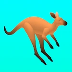 Kangaroo Runner 3D