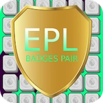 EPL Badges Pair