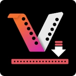 Video Downloader