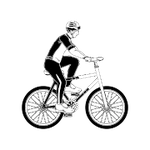 Bicycle Manufacturing